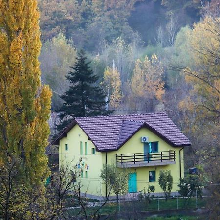 Pensiunea HAPPY Schitu Topolnitei Exterior foto