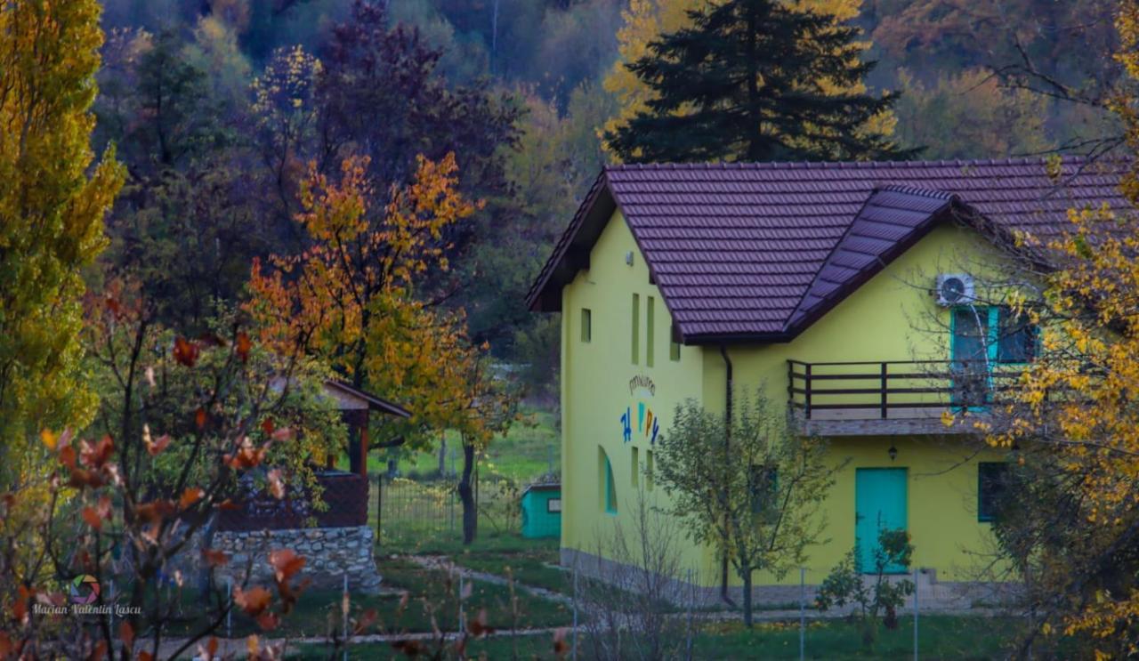 Pensiunea HAPPY Schitu Topolnitei Exterior foto