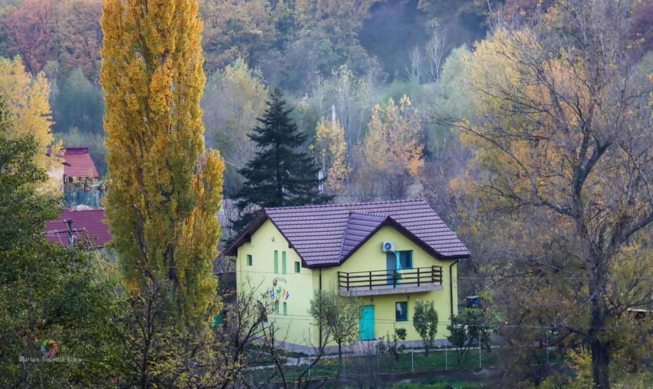 Pensiunea HAPPY Schitu Topolnitei Exterior foto