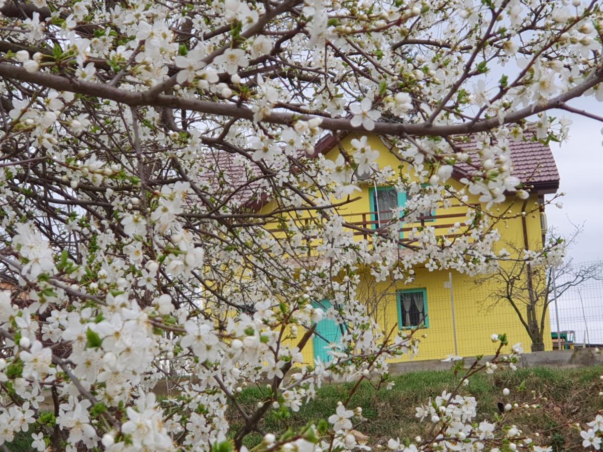 Pensiunea HAPPY Schitu Topolnitei Exterior foto