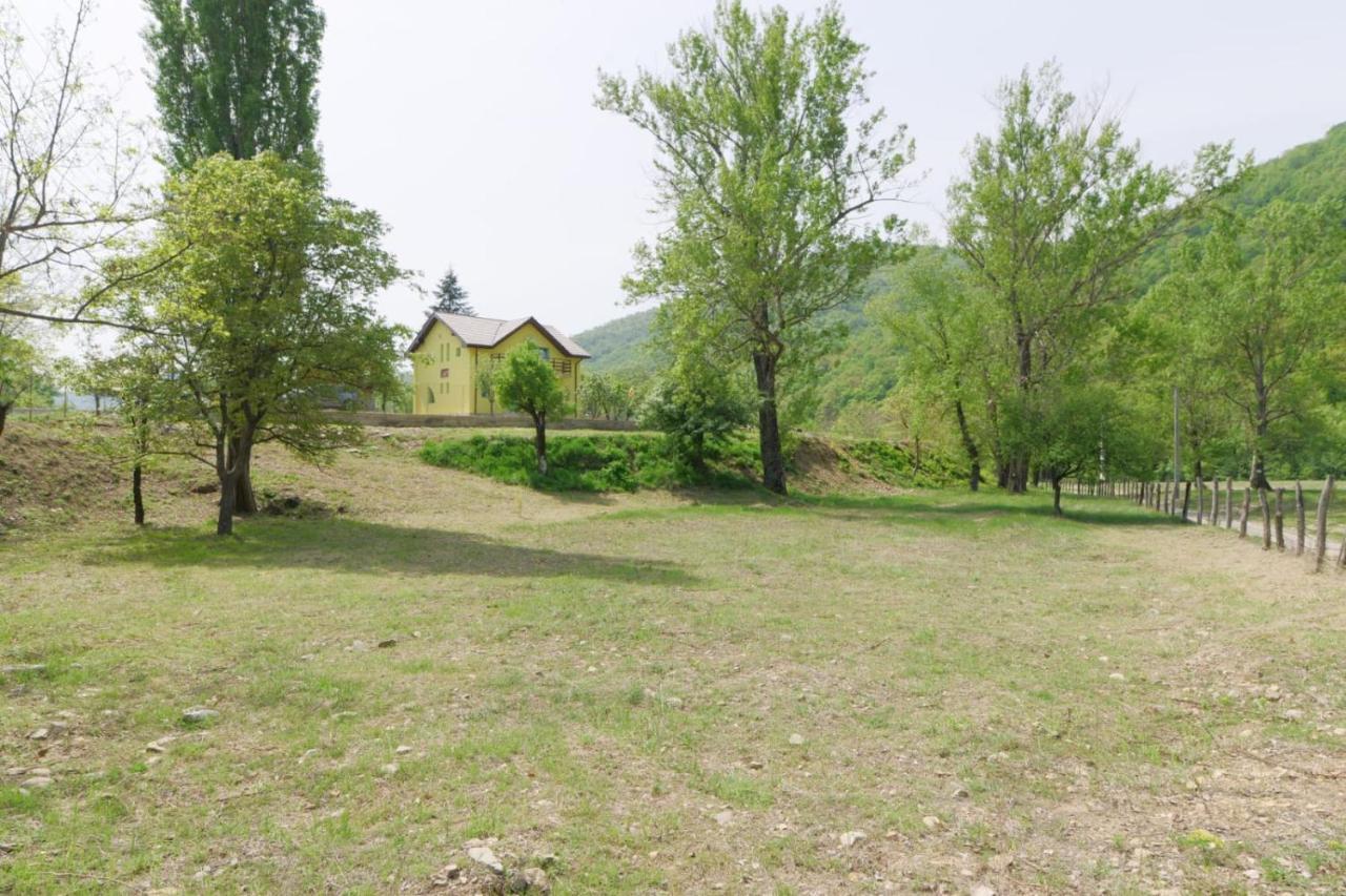 Pensiunea HAPPY Schitu Topolnitei Exterior foto